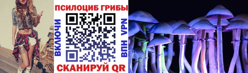 как найти   shop наркотические препараты  Галлюциногенные грибы Magic Shrooms  Берёзовский  ОМГ ОМГ ССЫЛКА 